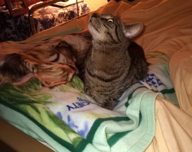 Theo looking up 2-1-22