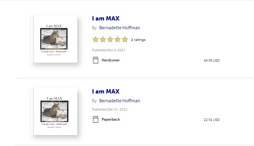 Screenshot 2023-01-17 231131